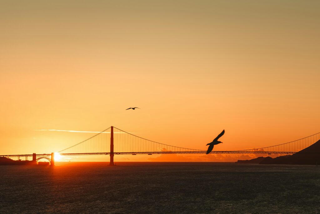 A sunset.