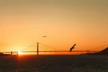 A sunset.