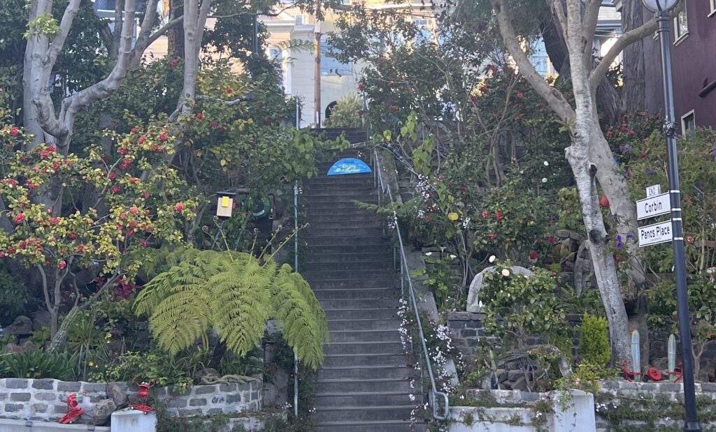 A place.
